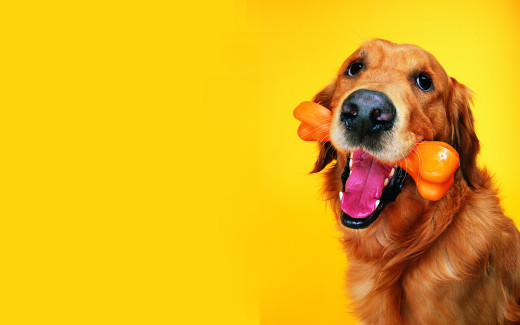 488220 (a): :1920x1200